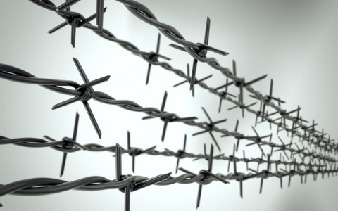 Perspective view of new barbed wire.